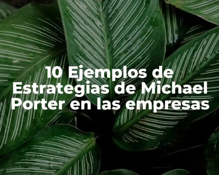 10 Ejemplos de Estrategias de Michael Porter en las empresas
