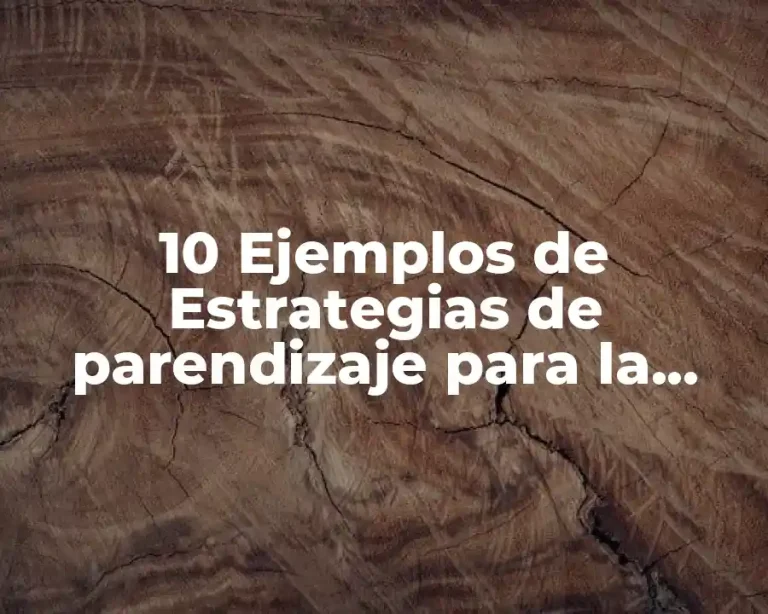 10 Ejemplos de Estrategias de parendizaje para la mejora