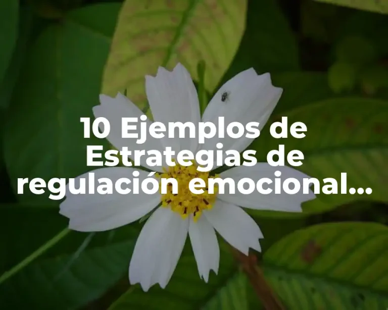10 Ejemplos de Estrategias de regulación emocional para preescolar