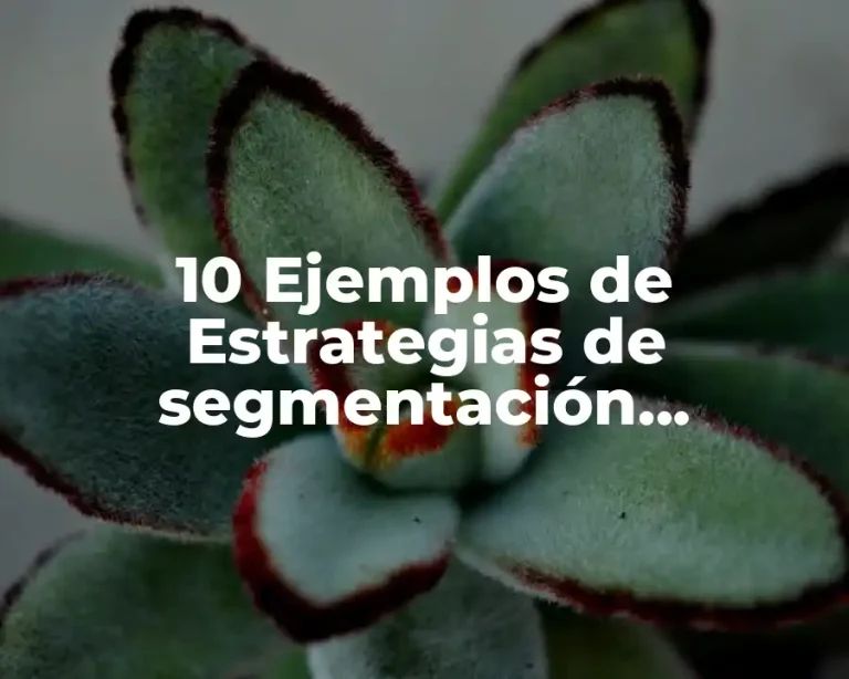 10 Ejemplos de Estrategias de segmentación indiferenciada de productos