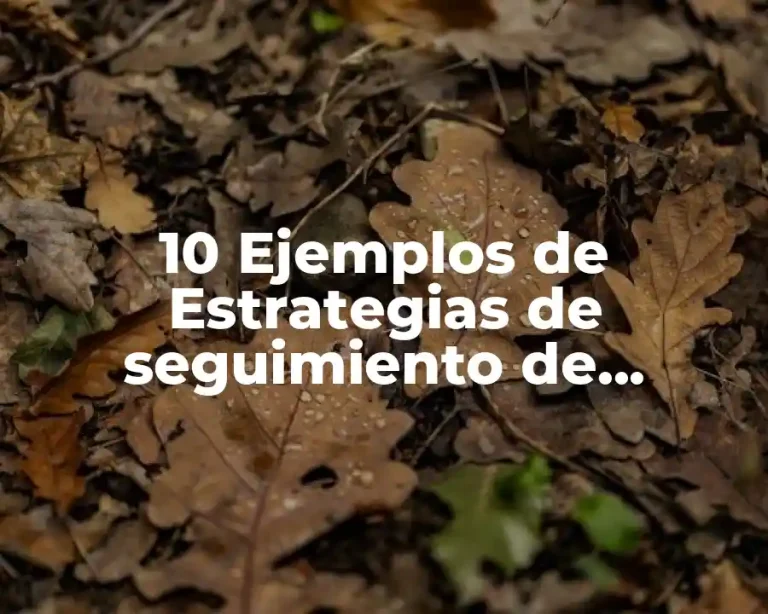 10 Ejemplos de Estrategias de seguimiento de mercado