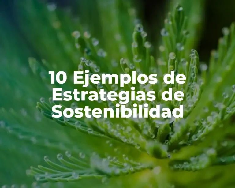 10 Ejemplos de Estrategias de Sostenibilidad