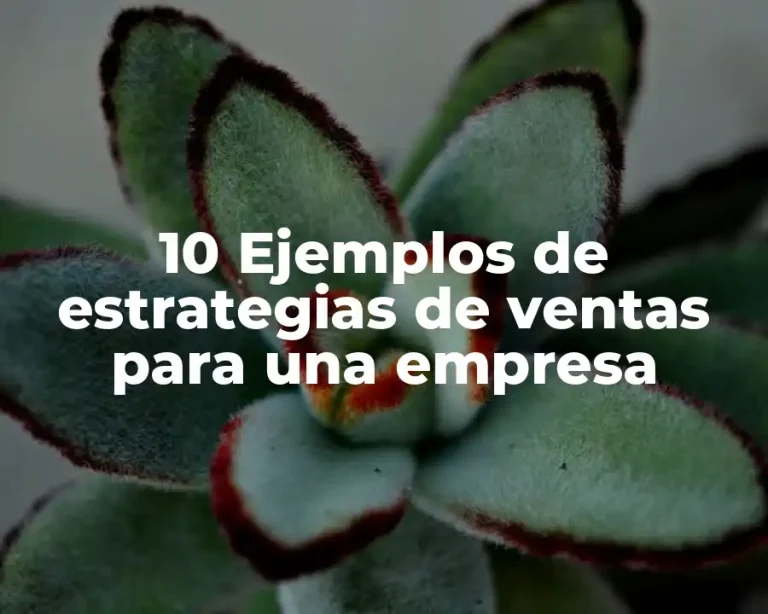10 Ejemplos de estrategias de ventas para una empresa