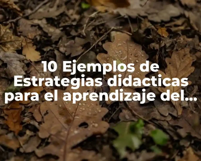 10 Ejemplos de Estrategias didacticas para el aprendizaje del idioma inglés