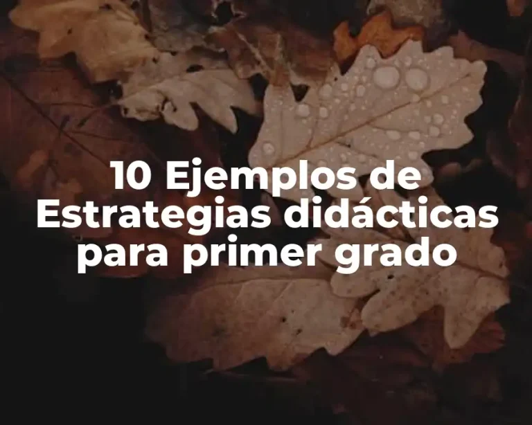 10 Ejemplos de Estrategias didácticas para primer grado