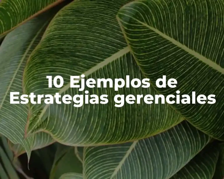 10 Ejemplos de Estrategias gerenciales