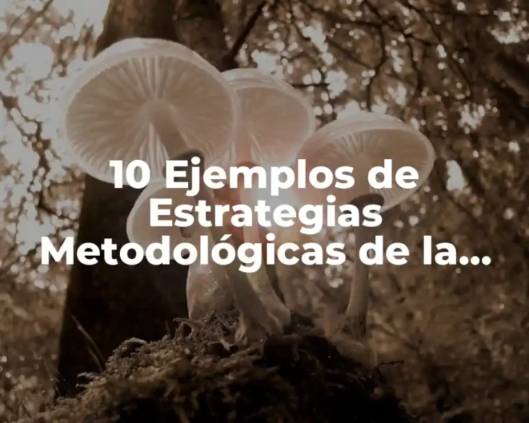 10 Ejemplos de Estrategias Metodológicas de la Educación Ambiental