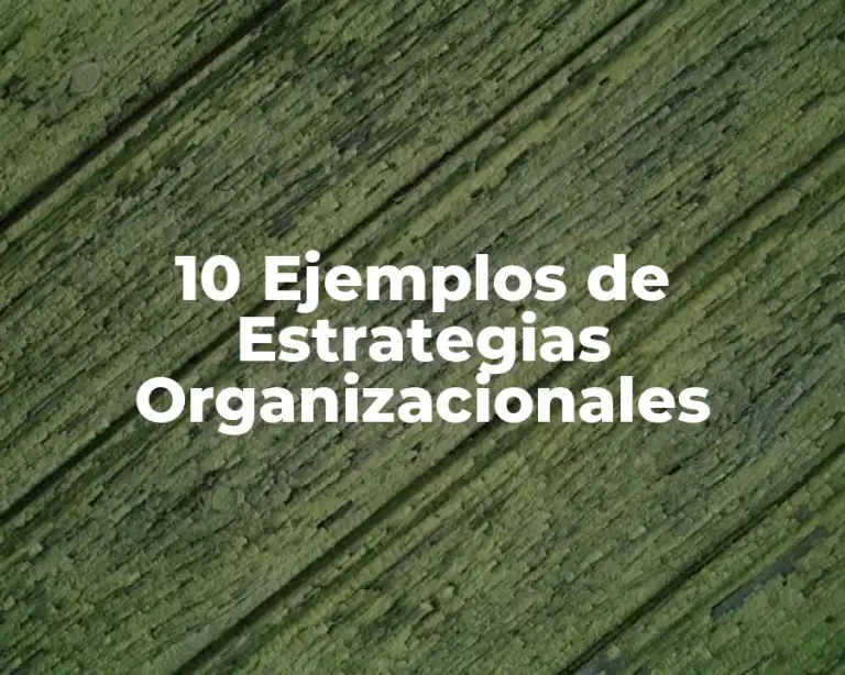10 Ejemplos de Estrategias Organizacionales