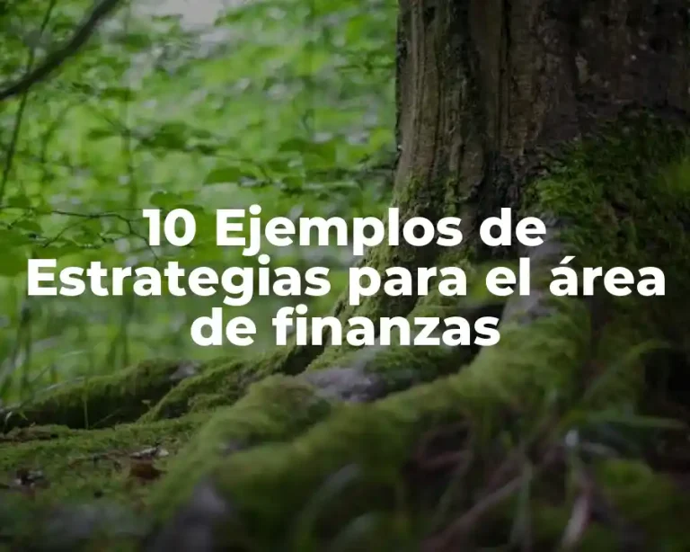 10 Ejemplos de Estrategias para el área de finanzas