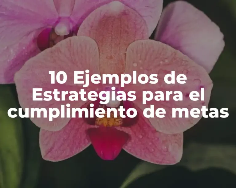 10 Ejemplos de Estrategias para el cumplimiento de metas
