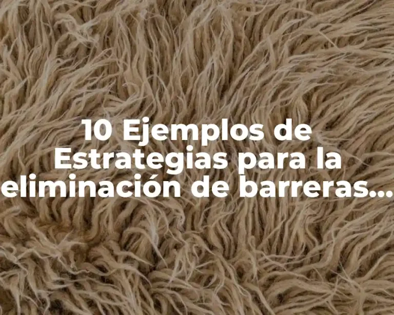 10 Ejemplos de Estrategias para la eliminación de barreras de aprendizaje