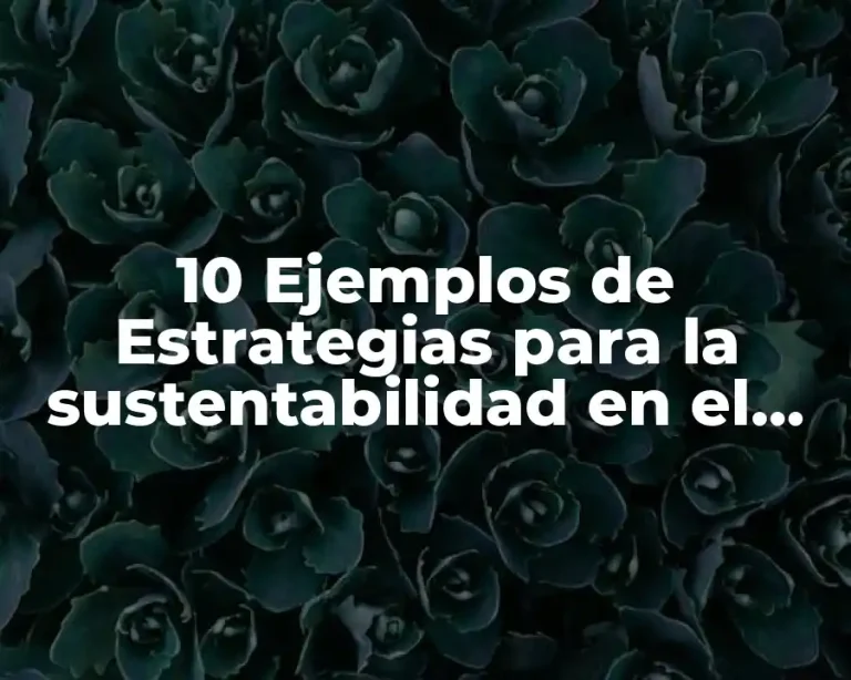 10 Ejemplos de Estrategias para la sustentabilidad en el agua