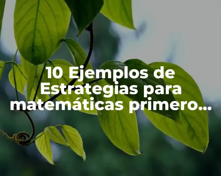 10 Ejemplos de Estrategias para matemáticas primero de secundaria