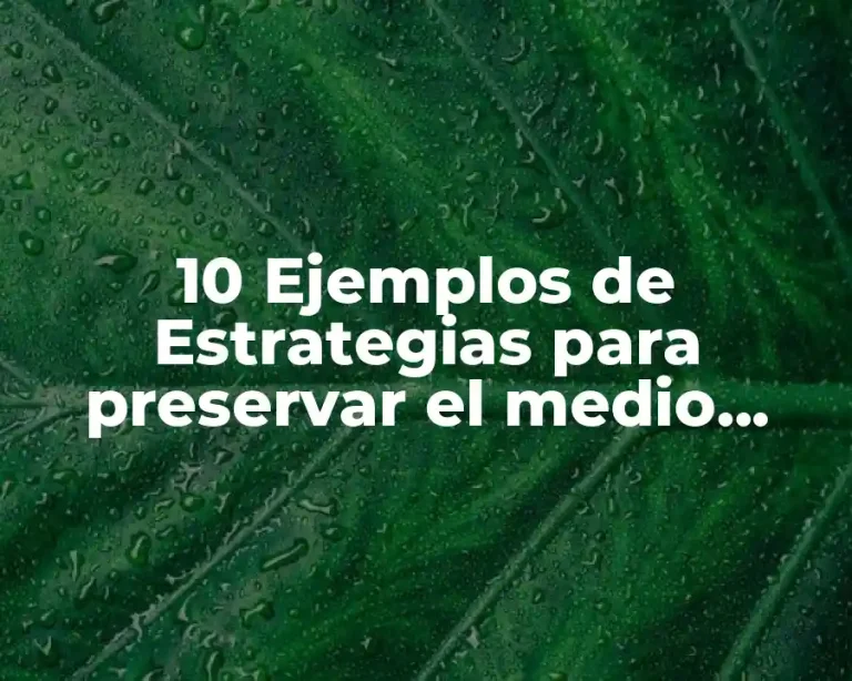 10 Ejemplos de Estrategias para preservar el medio ambiente