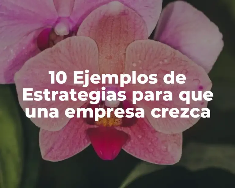 10 Ejemplos de Estrategias para que una empresa crezca