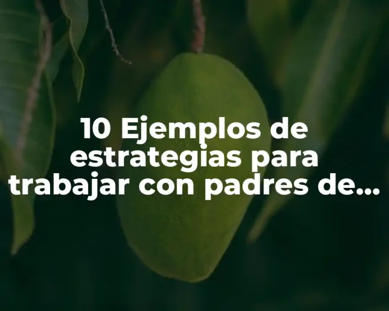 10 Ejemplos de estrategias para trabajar con padres de familia