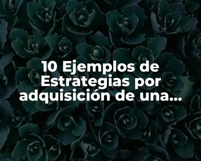10 Ejemplos de Estrategias por adquisición de una empresa