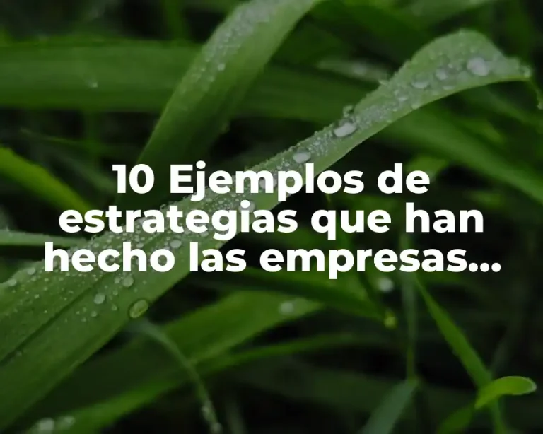 10 Ejemplos de estrategias que han hecho las empresas, Definición, Diferencias y para que sirve