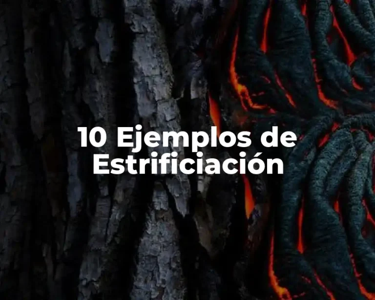 10 Ejemplos de Estrificiación