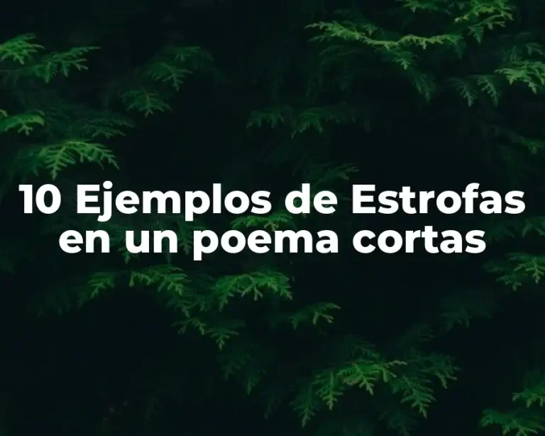 10 Ejemplos de Estrofas en un poema cortas