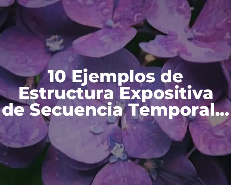 10 Ejemplos de Estructura Expositiva de Secuencia Temporal y Causal