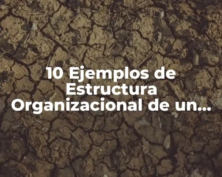 10 Ejemplos de Estructura Organizacional de un Centro Comercial