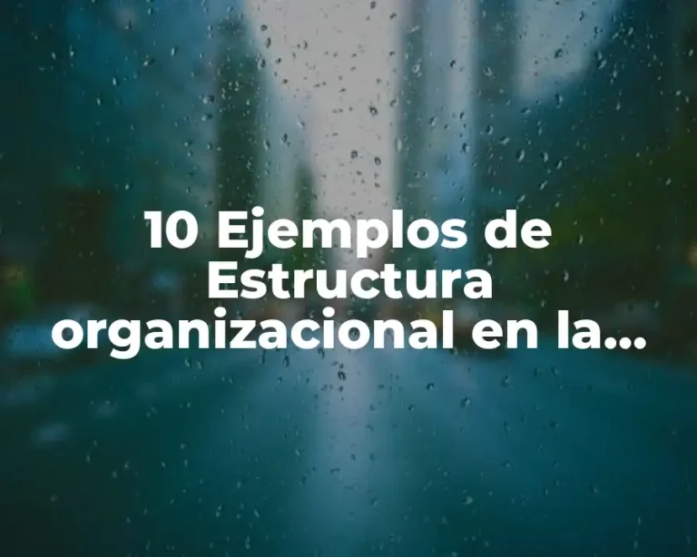10 Ejemplos de Estructura organizacional en la vida cotidiana