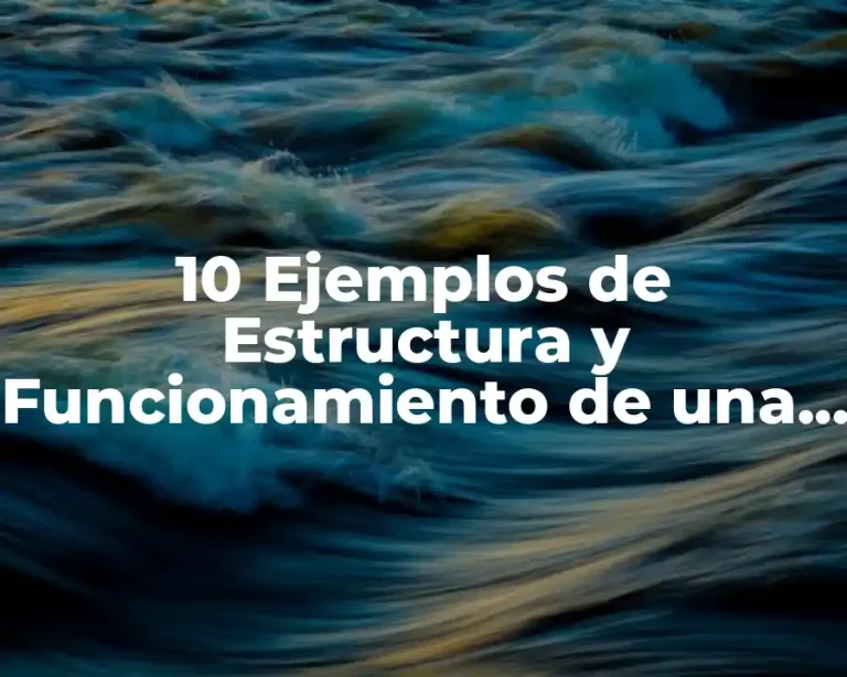 10 Ejemplos de Estructura y Funcionamiento de una Empresa