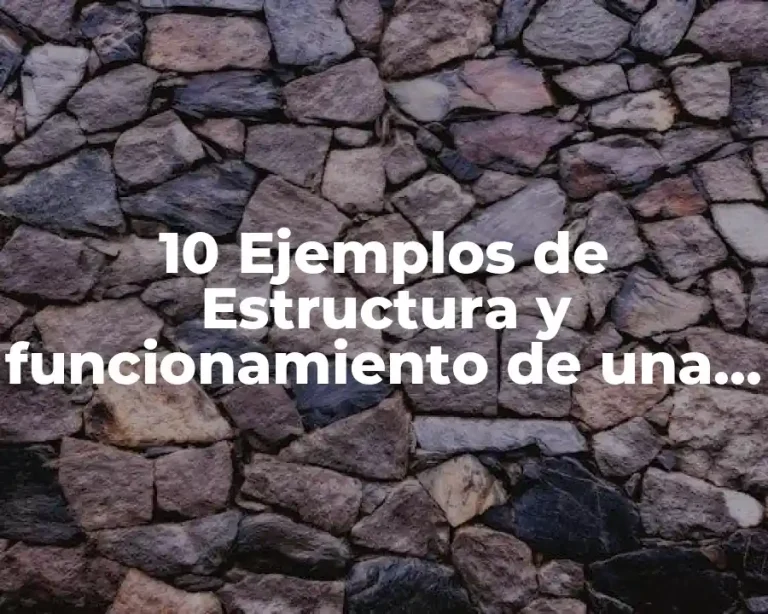 10 Ejemplos de Estructura y funcionamiento de una empresa famosa