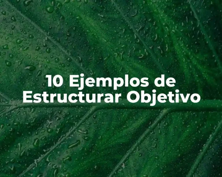 10 Ejemplos de Estructurar Objetivo