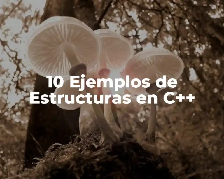10 Ejemplos de Estructuras en C++