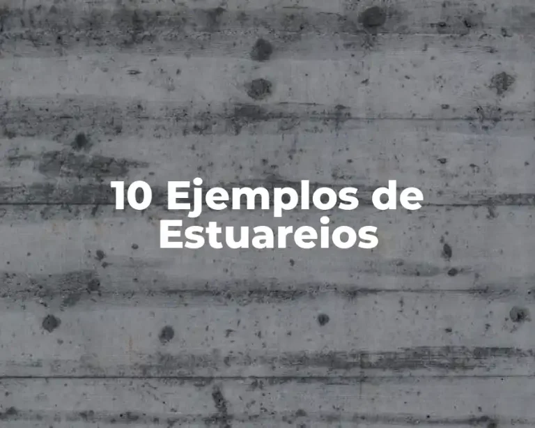 10 Ejemplos de Estuareios