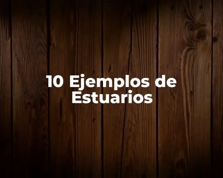 10 Ejemplos de Estuarios