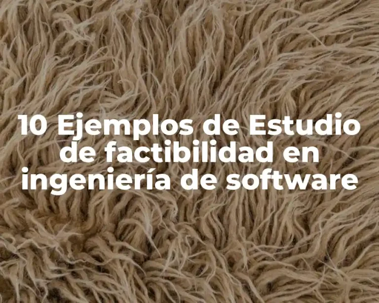 10 Ejemplos de Estudio de factibilidad en ingeniería de software