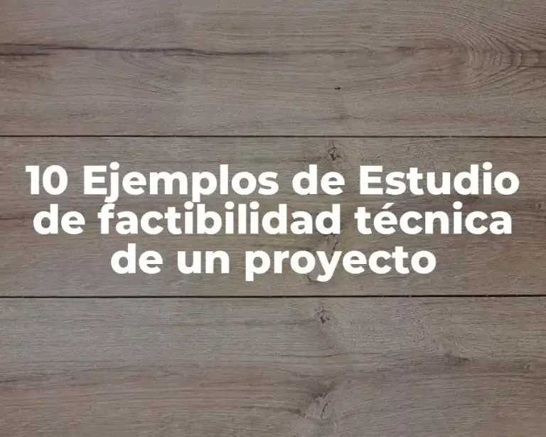 10 Ejemplos de Estudio de factibilidad técnica de un proyecto
