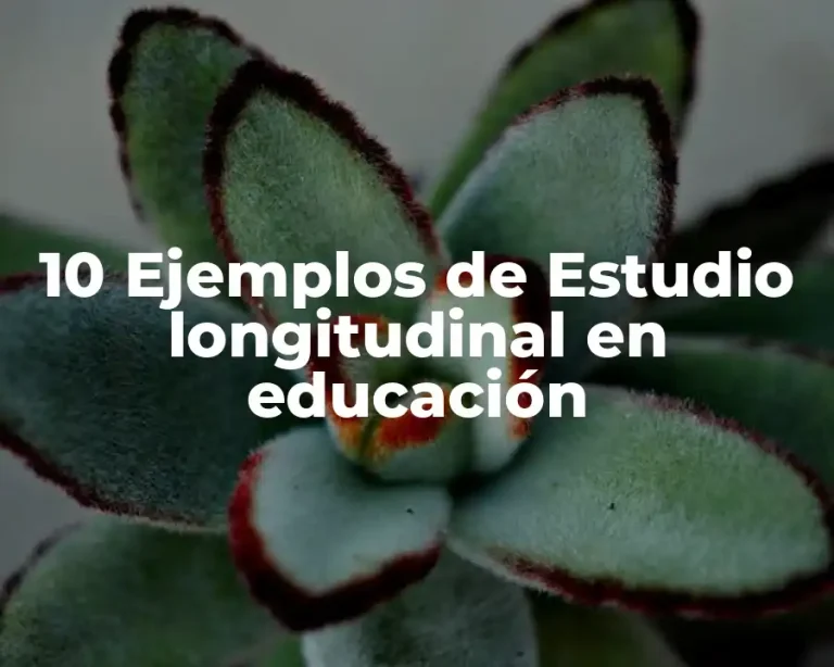 10 Ejemplos de Estudio longitudinal en educación