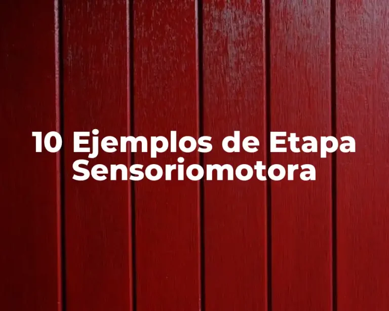 10 Ejemplos de Etapa Sensoriomotora