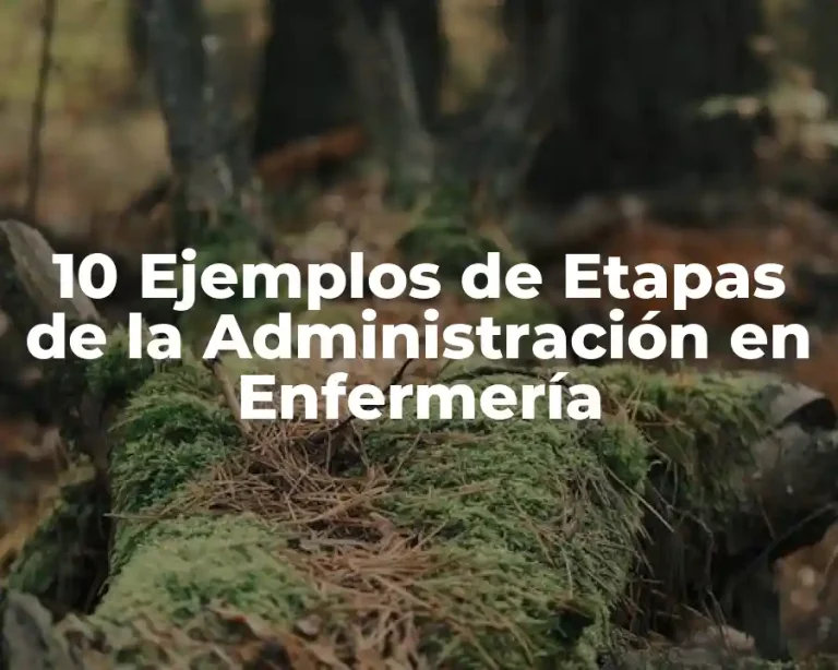 10 Ejemplos de Etapas de la Administración en Enfermería