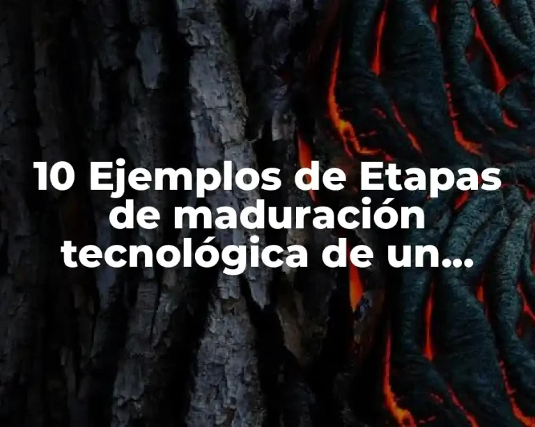 10 Ejemplos de Etapas de maduración tecnológica de un sistema de información