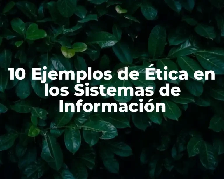 10 Ejemplos de Ética en los Sistemas de Información