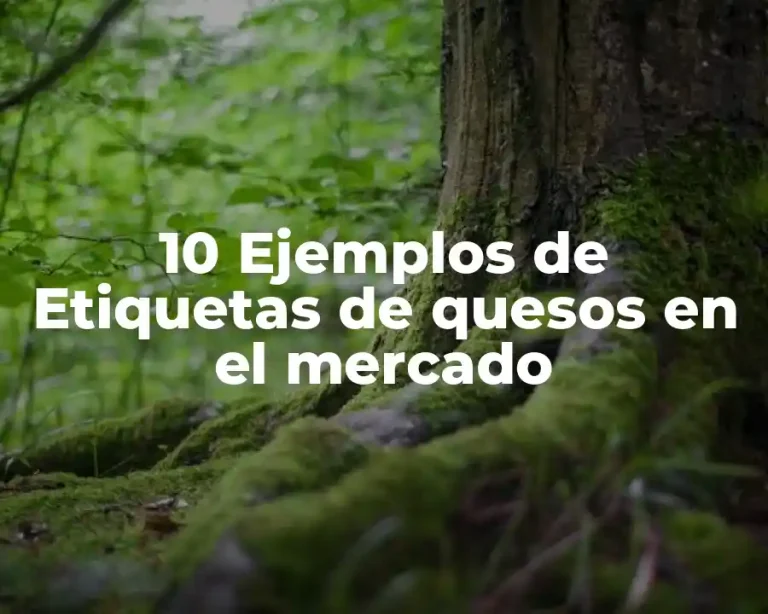 10 Ejemplos de Etiquetas de quesos en el mercado