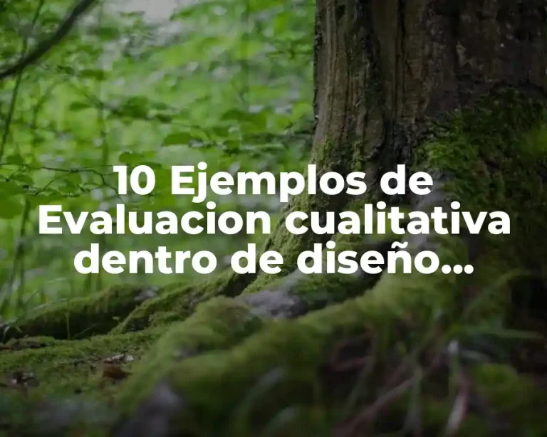 10 Ejemplos de Evaluacion cualitativa dentro de diseño curricular