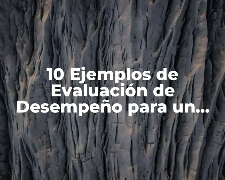 10 Ejemplos de Evaluación de Desempeño para un Gamer