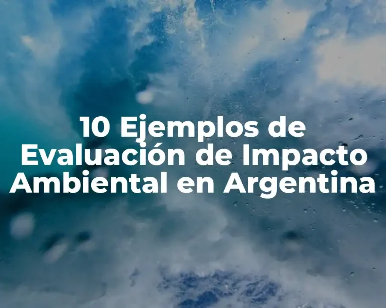 10 Ejemplos de Evaluación de Impacto Ambiental en Argentina