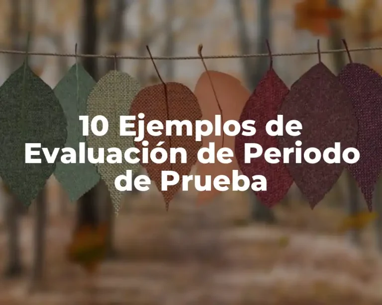 10 Ejemplos de Evaluación de Periodo de Prueba