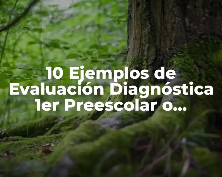 10 Ejemplos de Evaluación Diagnóstica 1er Preescolar o Aprendizajes