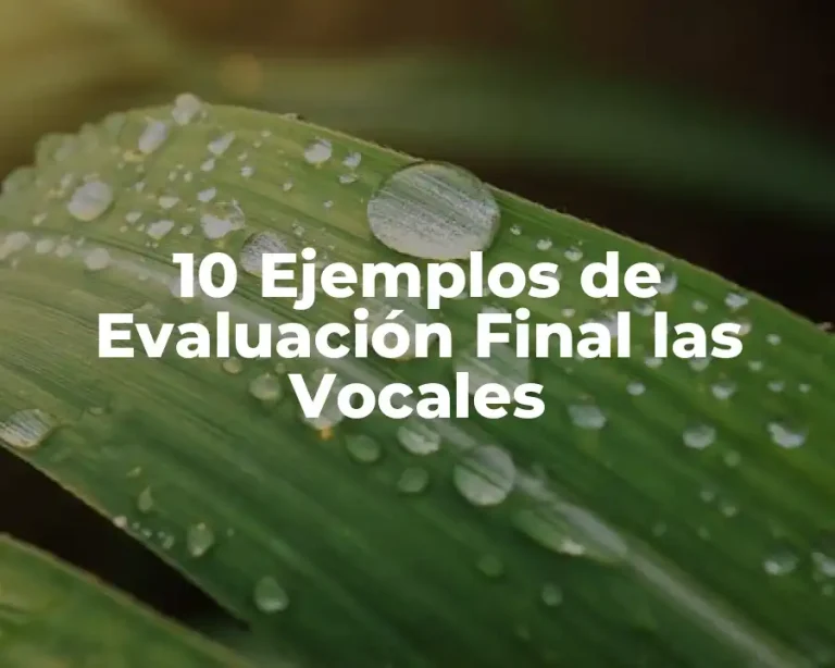 10 Ejemplos de Evaluación Final las Vocales