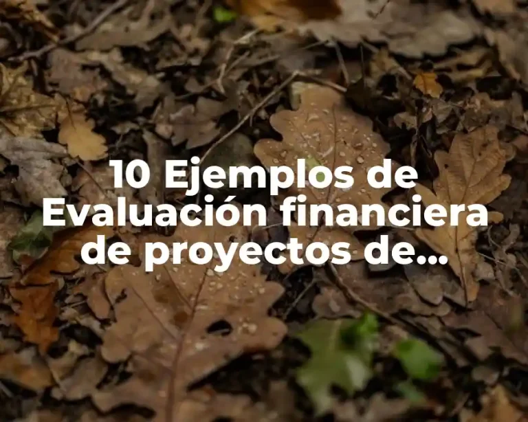 10 Ejemplos de Evaluación financiera de proyectos de inversión en Excel