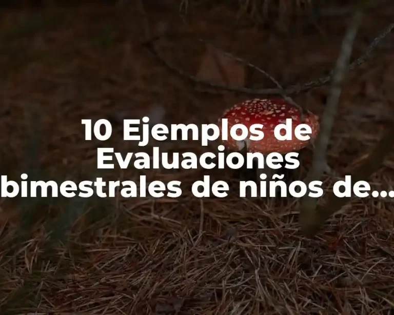 10 Ejemplos de Evaluaciones bimestrales de niños de preescolar