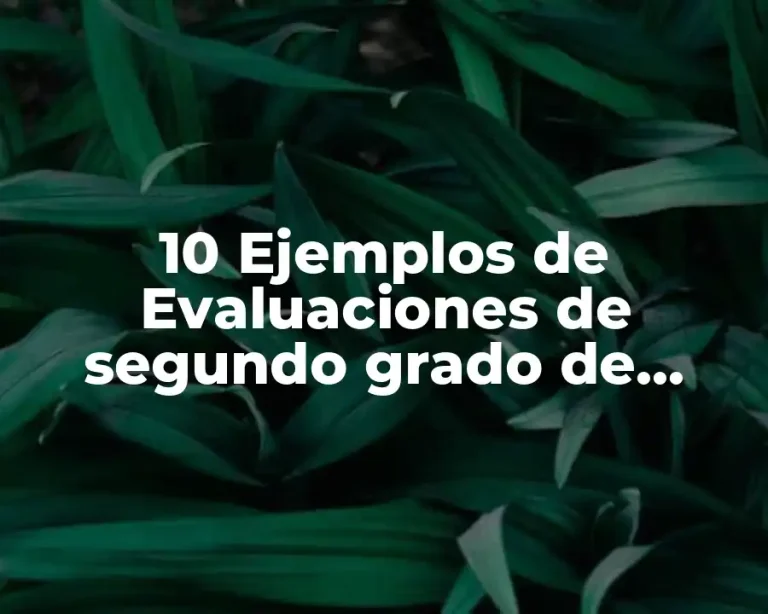 10 Ejemplos de Evaluaciones de segundo grado de preescolar para since